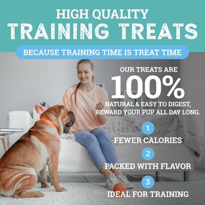 Show full view: Etta Says! Sit! Training Treats Chicken Recipe Dog Treats, 1-lb bag slide 5 of 9