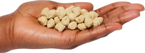 Show full view: Primal Kibble in the Raw Fish & Pork Recipe Non-GMO Freeze-Dried Dog Food, 24-oz bag slide 4 of 5