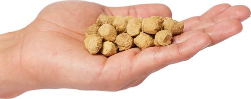 Show full view: Charmy Salmon & Duck Boost with Ginseng Adult Freeze-Dried Dog Food, 5.2-oz bag slide 3 of 3