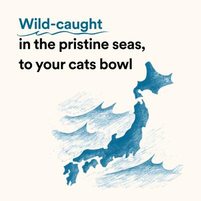 Show full view: Bonito House Umami Extra-Rich Blend Bonito Flakes Grain-Free Cat Food Topper, 0.7-oz, case of 10 slide 8 of 10