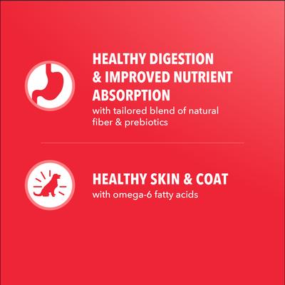 Show full view: Iams Proactive Health Adult Minichunks Lamb & Rice Recipe Dry Dog Food, 5-lb bag slide 5 of 10