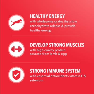 Show full view: Iams Proactive Health Adult Minichunks Lamb & Rice Recipe Dry Dog Food, 5-lb bag slide 6 of 10