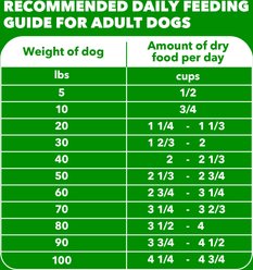 Iams Proactive Health Adult Minichunks Chicken & Whole Grain Recipe Dry Dog Food, 5-lb bag slide 2 of 9