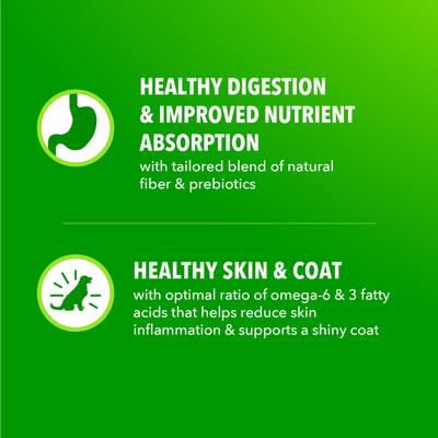 Show full view: Iams Proactive Health Adult Minichunks Chicken & Whole Grain Recipe Dry Dog Food, 5-lb bag slide 6 of 10