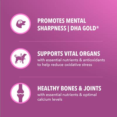 Show full view: Iams Proactive Health Healthy Aging Chicken & Whole Grain Recipe Dry Dog Food, 5-lb bag slide 5 of 10