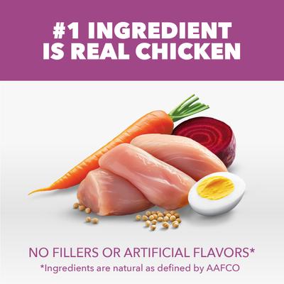 Show full view: Iams Proactive Health Healthy Aging Chicken & Whole Grain Recipe Dry Dog Food, 5-lb bag slide 4 of 10