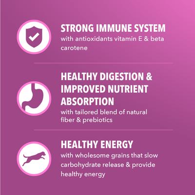 Show full view: Iams Proactive Health Healthy Aging Chicken & Whole Grain Recipe Dry Dog Food, 5-lb bag slide 6 of 10