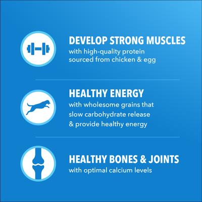 Show full view: Iams Proactive Health Healthy Weight Adult Chicken & Whole Grain Recipe Dry Dog Food, 5-lb bag slide 6 of 10