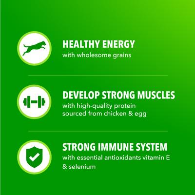 Show full view: Iams Proactive Health Adult Minichunks Beef & Rice Recipe Dry Dog Food, 5-lb bag slide 5 of 10