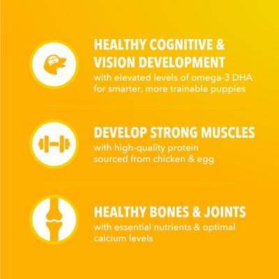 Show full view: Iams Proactive Health Healthy Puppy Chicken Recipe Small Breed Dry Dog Food, 5-lb bag slide 5 of 10