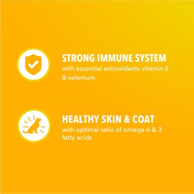 Show full view: Iams Proactive Health Healthy Puppy Chicken Recipe Small Breed Dry Dog Food, 5-lb bag slide 6 of 10