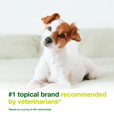 Show full view: Douxo S3 SEB Odor-Control Seboregulating Dog & Cat Mousse, 5.1-fl oz bottle slide 4 of 11