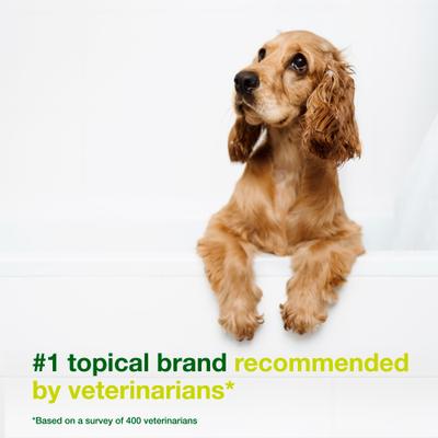 Show full view: Douxo S3 SEB Odor-Control Seboregulating Dog & Cat Shampoo, 16.9-fl oz bottle slide 4 of 11