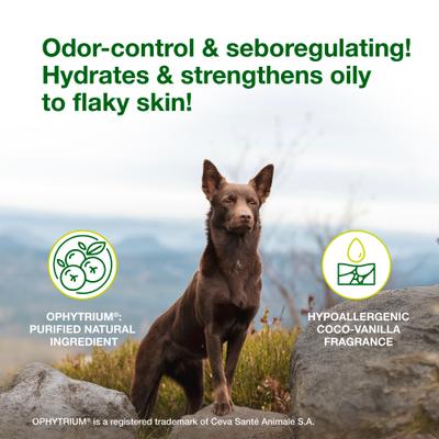 Show full view: Douxo S3 SEB Odor-Control Seboregulating Dog & Cat Shampoo, 16.9-fl oz bottle slide 3 of 11