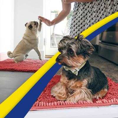 Show full view: Muddy Mat Highly Absorbent Chenille Dog Door Mat, Red, 2 x 3-ft slide 6 of 7