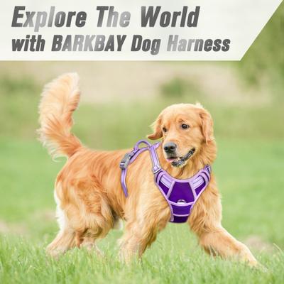 Show full view: BARKBAY Front Clip Reflective No Pull Dog Harness, Violet Purple & Purple, Large: 24.5 to 32.5-in chest slide 9 of 12