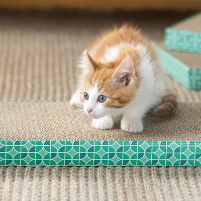 Show full view: Kitty City Rectangle Corrugate Cat Scratcher Toy with Catnip, Color Varies, 3 count, X-Large Wide slide 5 of 10