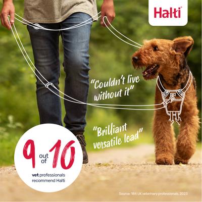Show full view: Halti Lead Adjustable Training Dog Leash, Burnt Orange, Small slide 7 of 8