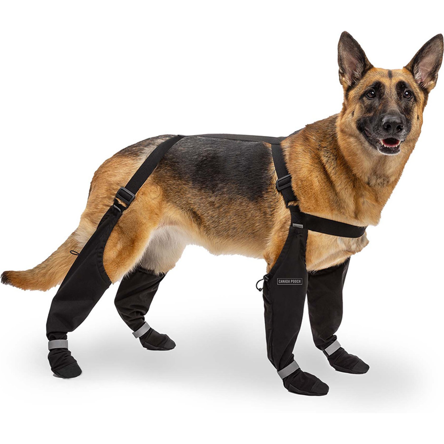 Canada Pooch Suspender Dog Boots, Black, 2 long