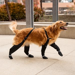 Canada Pooch Suspender Dog Boots, Black, 3 long