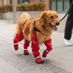 Canada Pooch Suspender Dog Boots, Red, 3 short slide 2 of 4