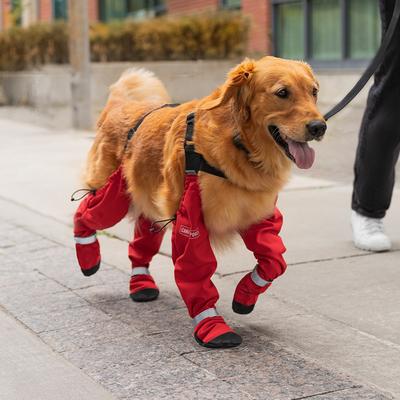 Show full view: Canada Pooch Suspender Dog Boots, Red, 2 long slide 4 of 4