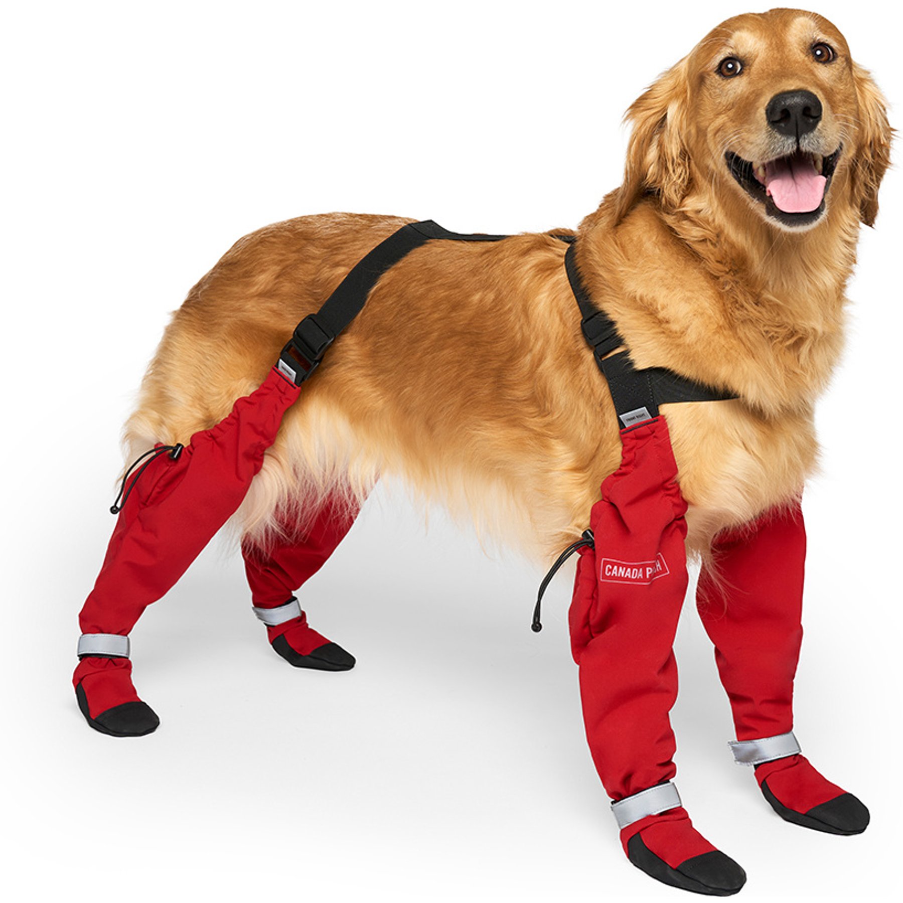 Canada Pooch Suspender Dog Boots, Red, 1 long