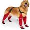 Show in main carousel: Canada Pooch Suspender Dog Boots, Red, 2 long slide 1 of 4