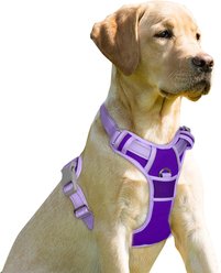 BARKBAY Front Clip Reflective No Pull Dog Harness, Violet Purple & Purple, Large: 24.5 to 32.5-in chest
