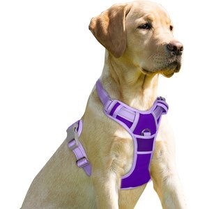 BARKBAY Front Clip Reflective No Pull Dog Harness, Violet Purple & Purple, Large: 24.5 to 32.5-in chest