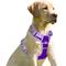 Show in main carousel: BARKBAY Front Clip Reflective No Pull Dog Harness, Violet Purple & Purple, Large: 24.5 to 32.5-in chest slide 1 of 12