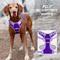Show in main carousel: BARKBAY Front Clip Reflective No Pull Dog Harness, Violet Purple & Purple, Large: 24.5 to 32.5-in chest slide 7 of 12