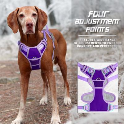 Show full view: BARKBAY Front Clip Reflective No Pull Dog Harness, Violet Purple & Purple, Large: 24.5 to 32.5-in chest slide 7 of 12