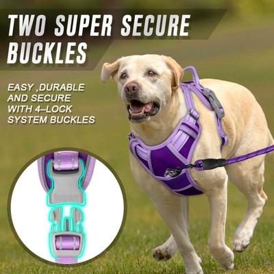 Show full view: BARKBAY Front Clip Reflective No Pull Dog Harness, Violet Purple & Purple, Large: 24.5 to 32.5-in chest slide 5 of 12