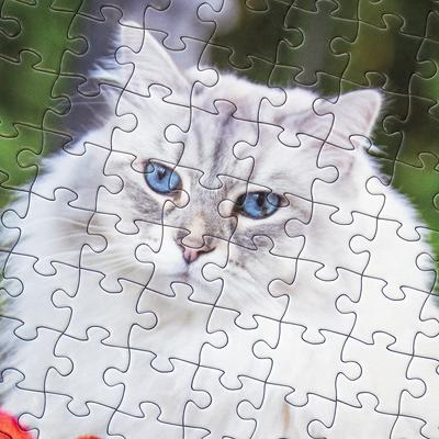 Show full view: Aether Puzzles Personalized 500 Piece Puzzle slide 7 of 7