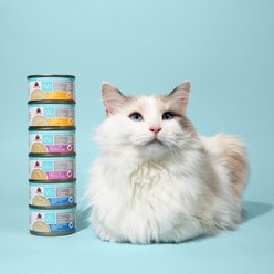 Weruva Wx Phos Focused Chicken Variety Pack Grain-Free Wet Cat Food, 3-oz can, case of 12 slide 2 of 9