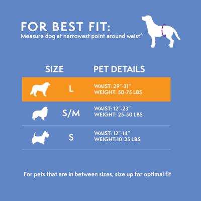 Show full view: Simple Solution Washable Male Dog Wrap, Large: 29 to 35-in waist slide 4 of 10