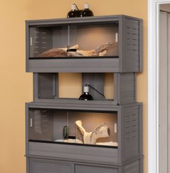 New Age Pet ECOFLEX Two 50g Reptile Enclosures Setup without Stand, Grey