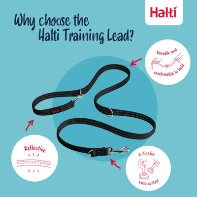Show full view: Halti Lead Adjustable Training Dog Leash, Burnt Orange, Small slide 4 of 8