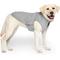 Show in main carousel: Canada Pooch Solid Waterproof Dog Sweater, Grey, 16-in slide 1 of 5