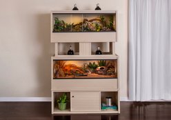 New Age Pet ECOFLEX Two 120g Reptile Enclosures Setup with Low Boy Stand, Maple