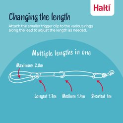 Halti Nylon Training Dog Lead, Black, Large: 6.56-ft long, 0.98-in wide slide 2 of 9