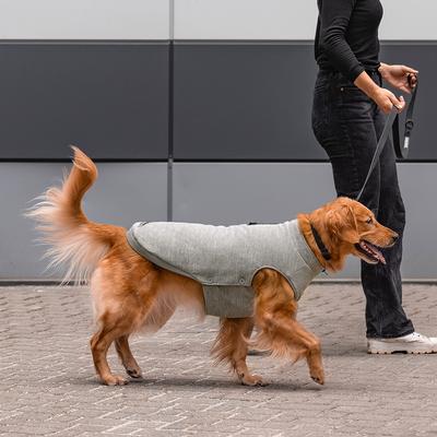 Show full view: Canada Pooch Solid Waterproof Dog Sweater, Grey, 16-in slide 5 of 5