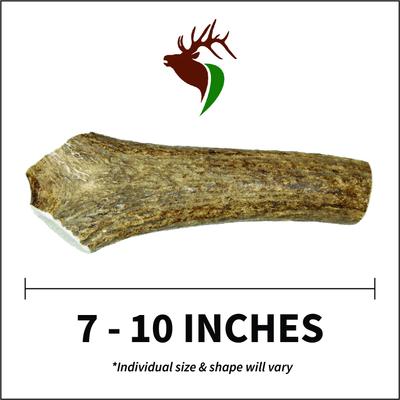 Show full view: Elkhorn Premium Chews Whole Elk Antler Dog Chew, Large slide 3 of 7