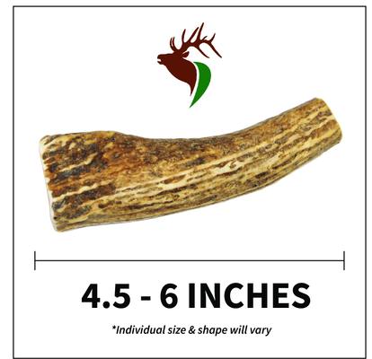 Show full view: Elkhorn Premium Chews Whole Elk Antler Dog Chew, Small, 2 count slide 3 of 7