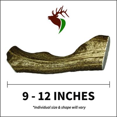 Show full view: Elkhorn Premium Chews Whole Elk Antler Dog Chew, Monster slide 3 of 7