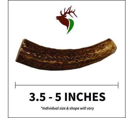 Show full view: Elkhorn Premium Chews Whole Elk Antler Dog Chew, X-Small, 2 count slide 3 of 7