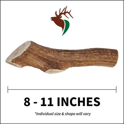 Show full view: Elkhorn Premium Chews Whole Elk Antler Dog Chew, Giant slide 3 of 7