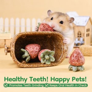 TEEWY Strawberry Basket Small Animal Chew Toys, 4 count