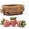 Show in main carousel: TEEWY Strawberry Basket Small Animal Chew Toys, 4 count slide 1 of 5